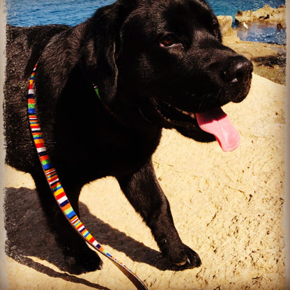 KOH LIPE DOG COLLAR COLLECTION