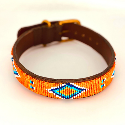 Dog collars Leather dog collars Beaded leather dog collars Leather dog collars Orange dog collars Quality made dog collars Stylish dog collars Luxury dog collars Hundeleine Hundehalsband Best dog collars 2022 Best dog collars ever Number 1 selling dog collar Chic dog collars Orange beaded dog collars Maasai dog collars Dog Leads Dog Leashes Leather dog leashes Isla Tribes